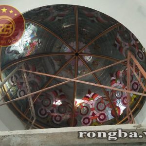 Mái kính hoa đồng 4