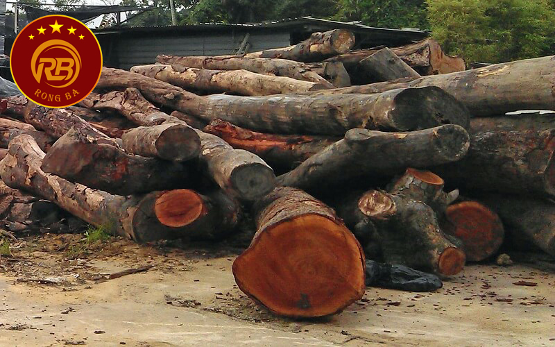 gỗ xà cừ thuộc nhóm mấy